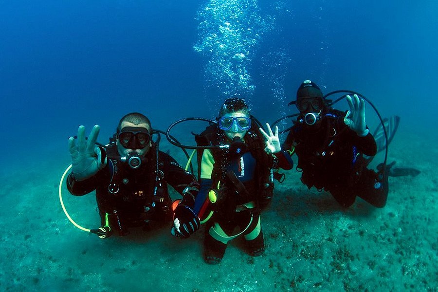 Exploramar Diving image