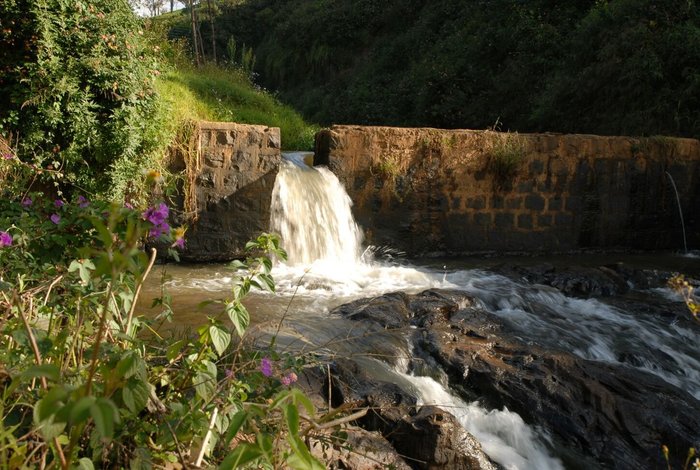 Peaceful river waterfalls, birds chirping, babbling streams