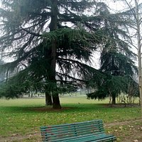 Uno scorcio del Parco Ravizza