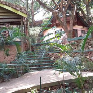 Forest Cottages in Kampala, image may contain: Hotel, Resort, Villa, Rainforest