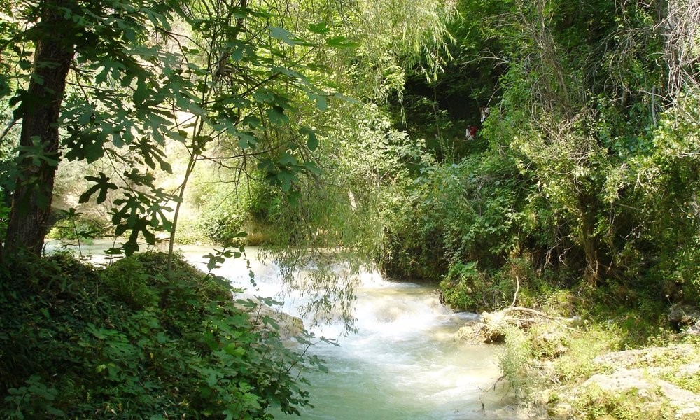 Hotel Di Eskisehir Telusuri Hotel Dengan Kayak