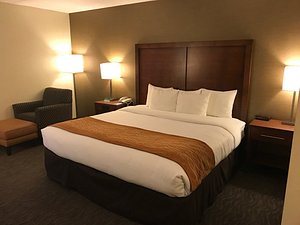 Best Western Chicago - Downers Grove in Downers Grove