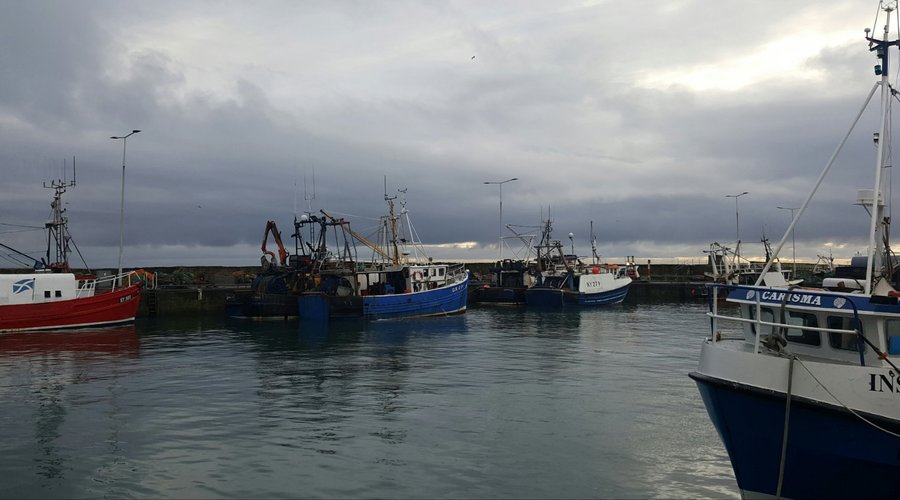 Fishing boats ? pretty sight anyway