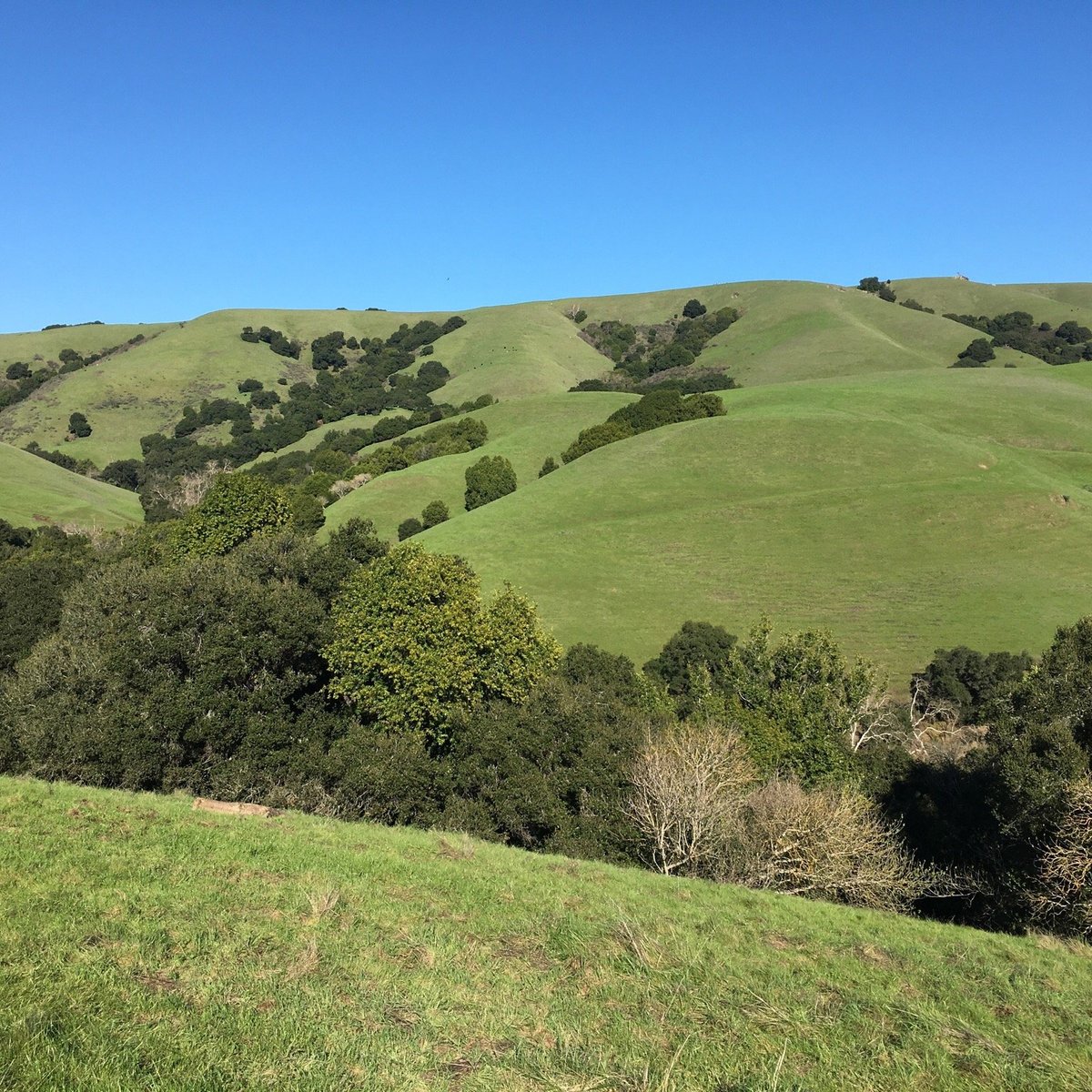 Garin Regional Park (Hayward) - All You Need to Know BEFORE You Go