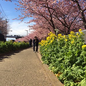 21年 三浦市で絶対外さないおすすめ観光スポットトップ10 定番から穴場まで トリップアドバイザー