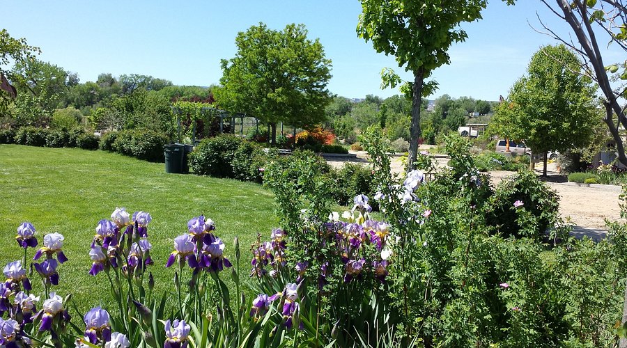 Grand Junction Botanical Gardens: Explore Nature's Oasis