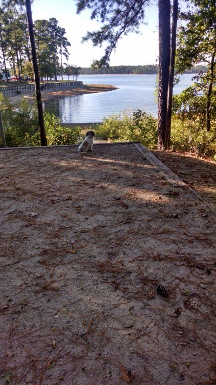 PETERSBURG CAMPGROUND Reviews Appling GA