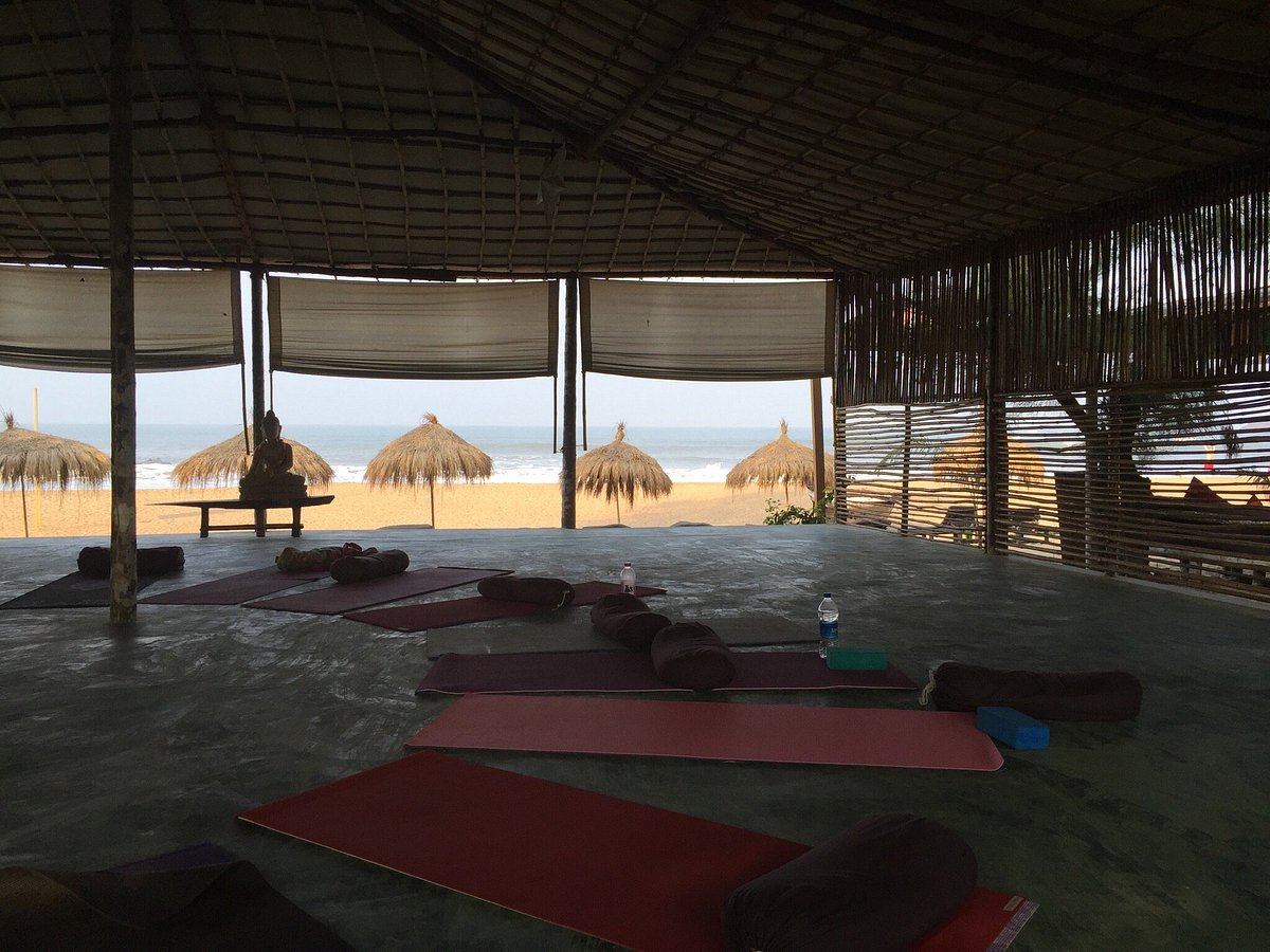 Yoga - Picture of Bamboo Yoga Retreat, Polem - Tripadvisor