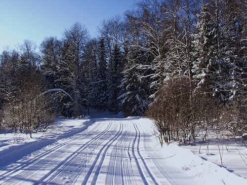 holiday homework winter