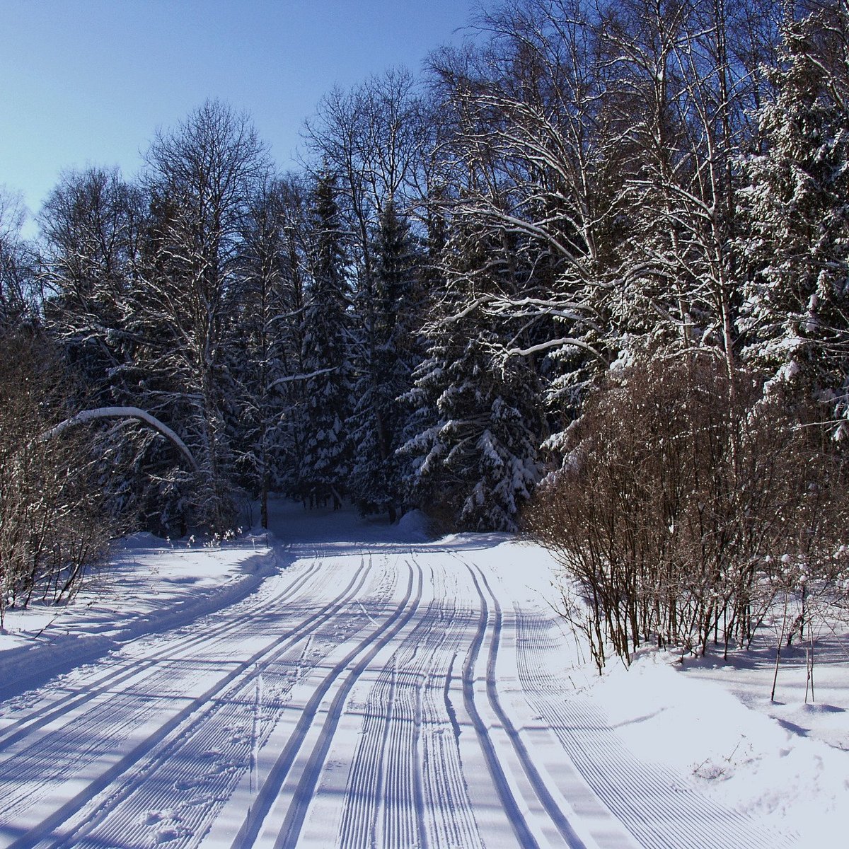 Лыжный стадион Зоркий, Красногорск: лучшие советы перед посещением -  Tripadvisor