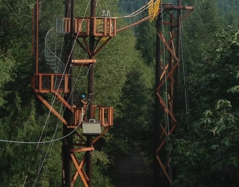 The Zipline X image