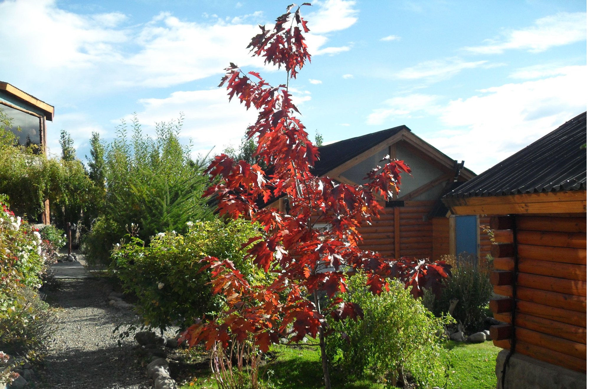 Hotel photo 16 of Solares Del Sur.