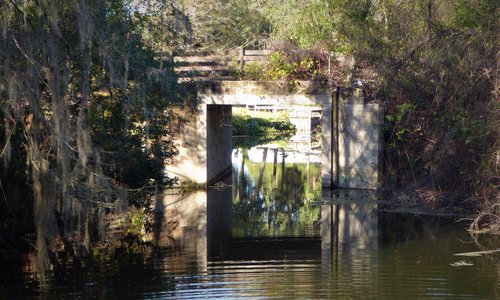 Bridge to Blount's Island