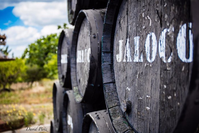 Imagen 6 de Bodegas Medina