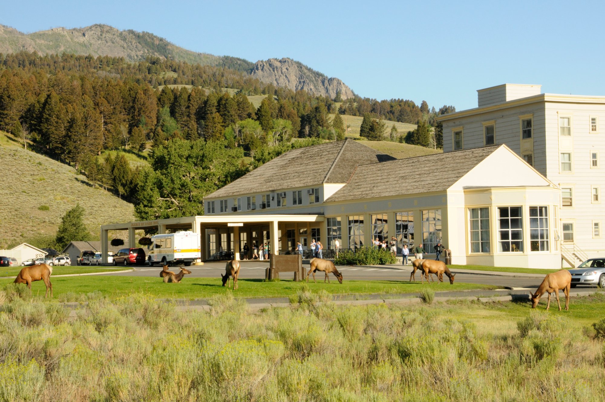 MAMMOTH HOT SPRINGS HOTEL CABINS PARQUE NACIONAL DE YELLOWSTONE WY   Mammoth Hot Springs Hotel 