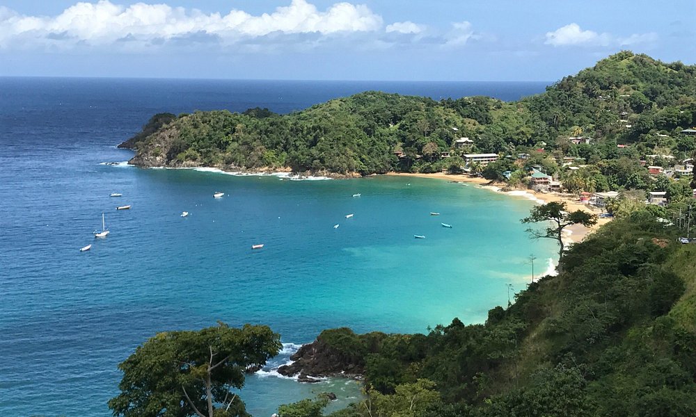 when is the best time to visit tobago