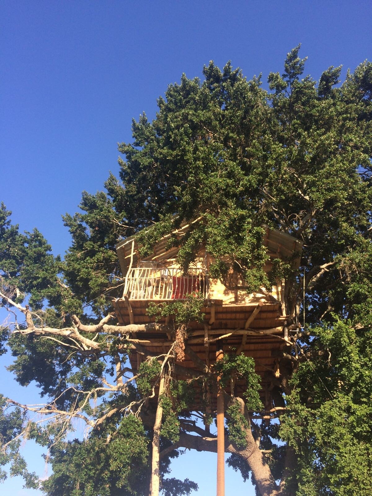 YALA TREE HOUSE SAFARI (Шри-Ланка/Тиссамахарама) - отзывы, фото и сравнение  цен - Tripadvisor