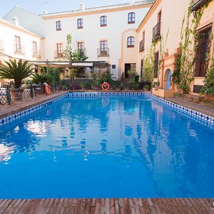 The Pool at the Alcazar de la Reina Hotel