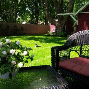 ~ Garden ~