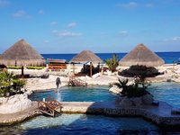 Dolphinaris (Cozumel) - Lo que se debe saber antes de viajar - Tripadvisor