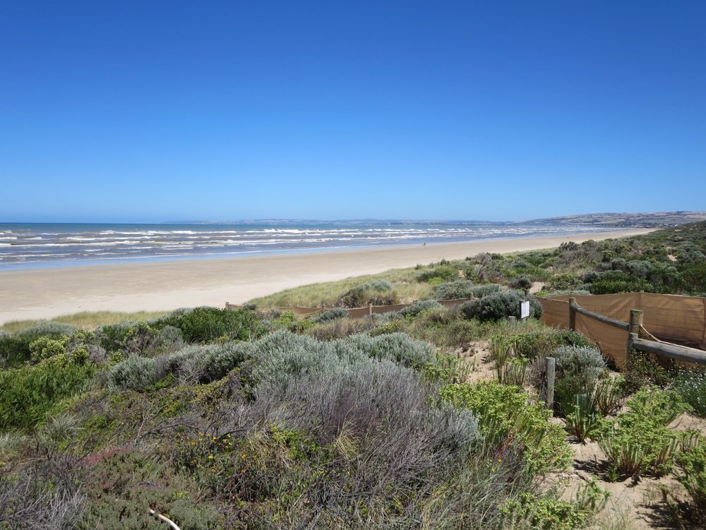 THE 15 BEST Things to Do in Goolwa (2024) - Must-See Attractions