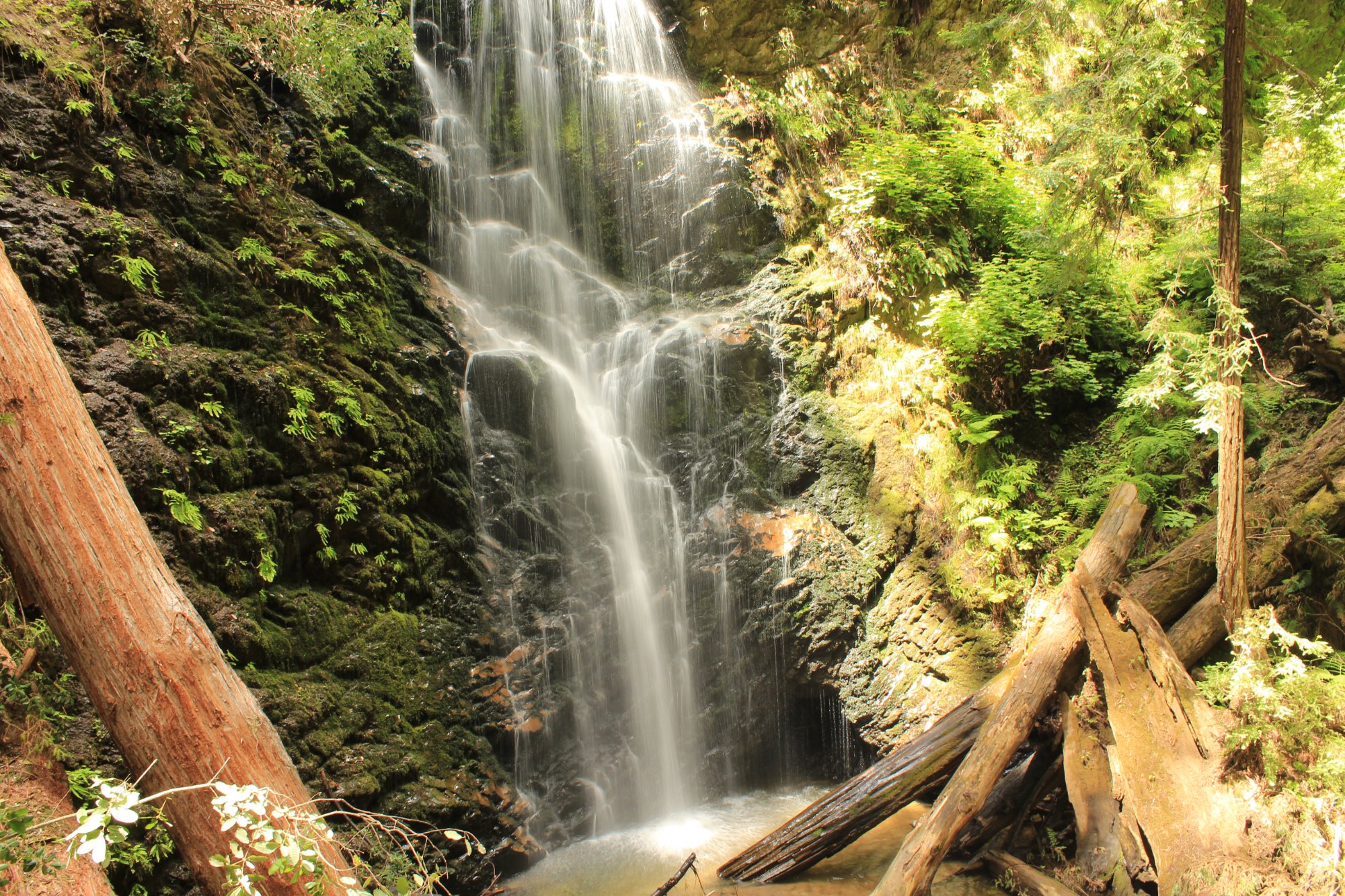 Big basin best hikes best sale