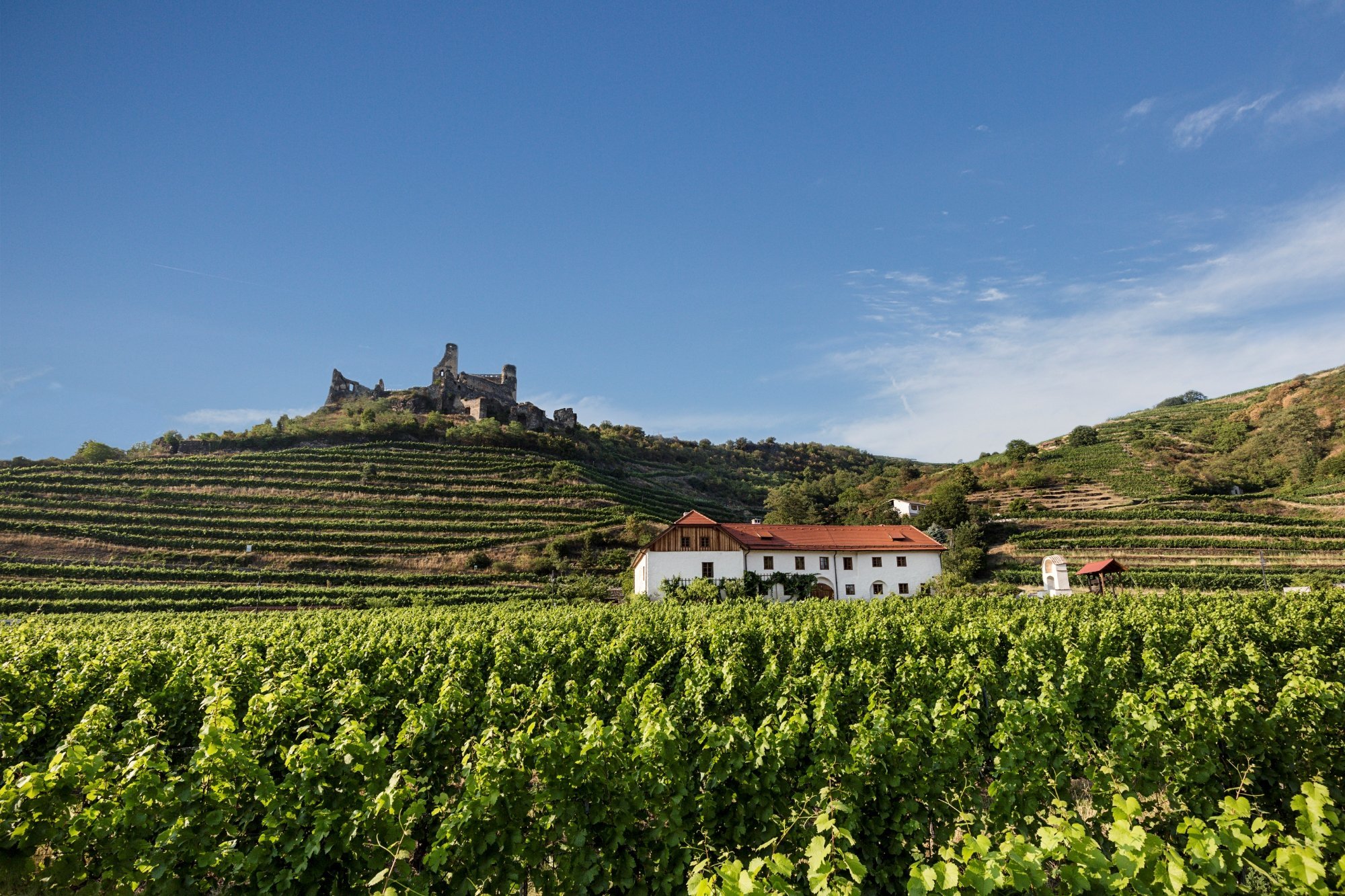 Winery Nigl by null