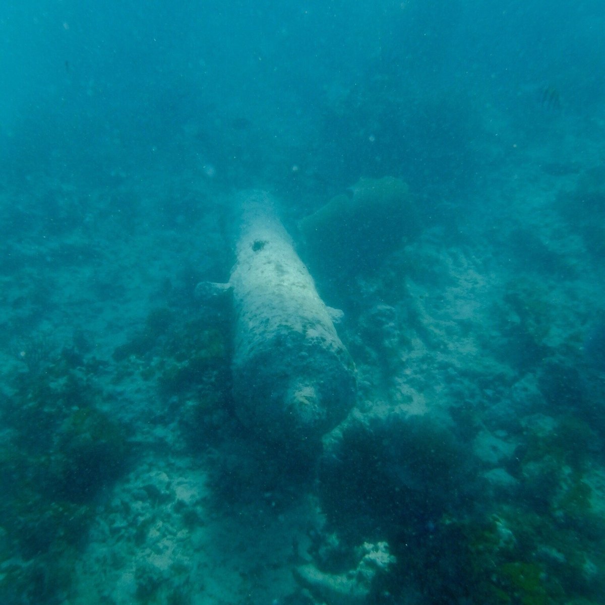 Famous Vincent Glass Bottom Boats Negril All You Need To Know Before You Go