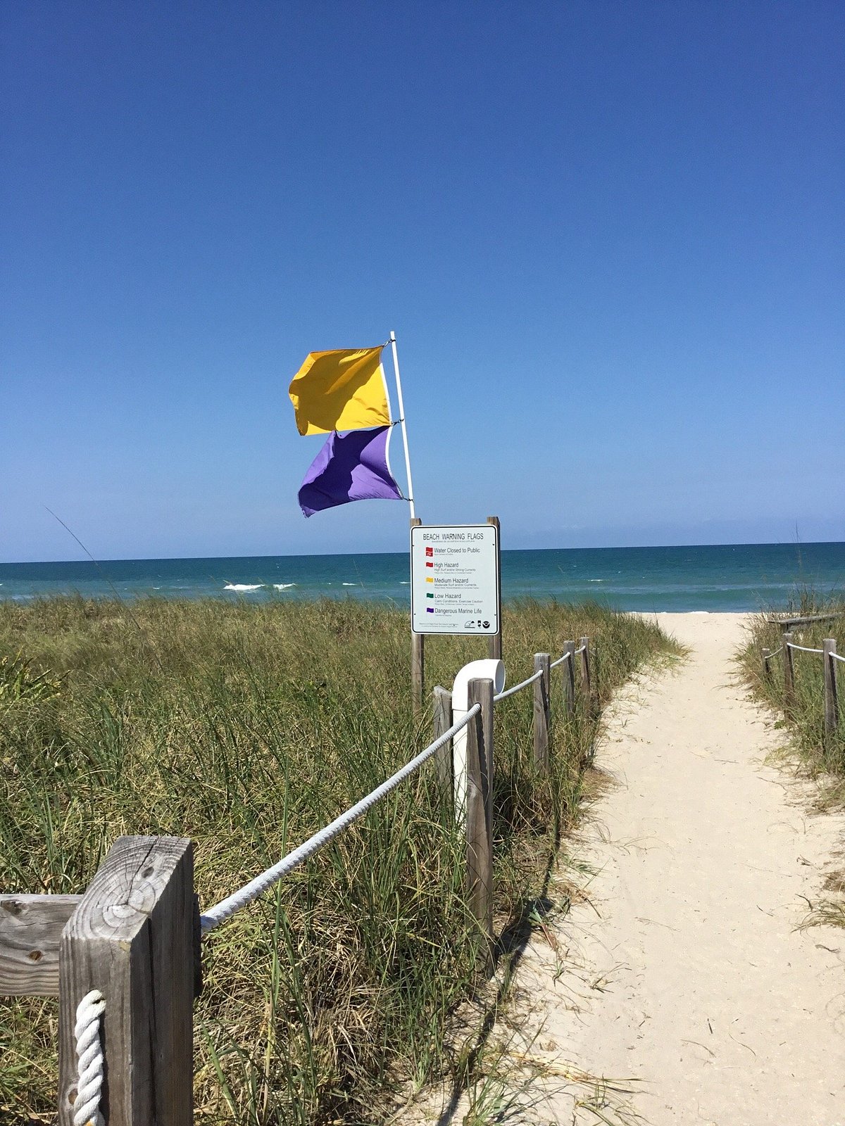 are dogs allowed at avalon beach state park