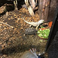 Besök på Blekinge exotiska värld.