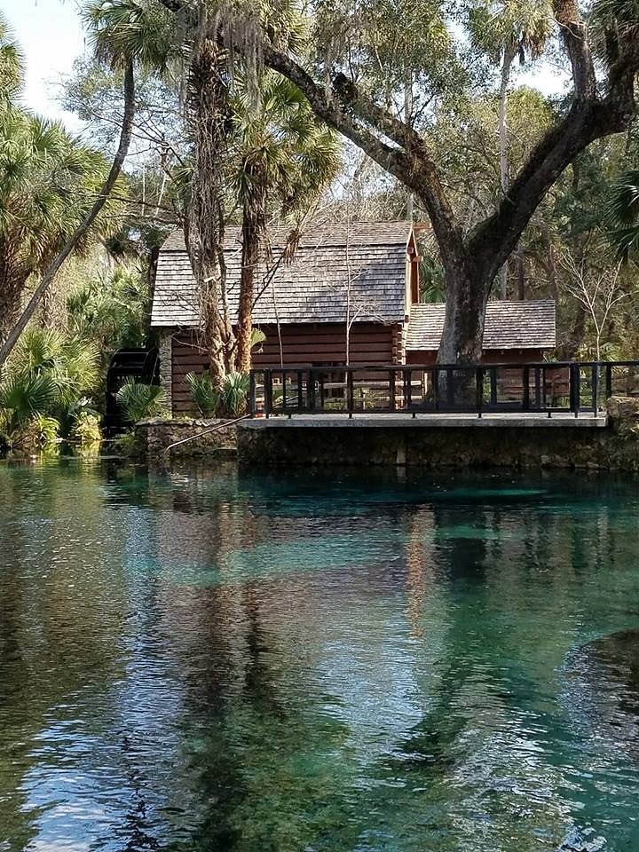 17 Best Natural Springs In Florida You Must Visit - Florida Trippers