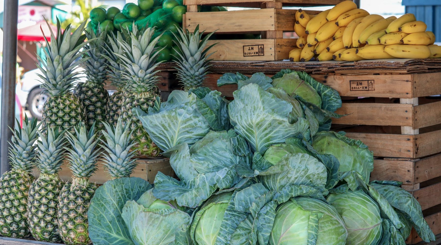 Immokalee State Farmers' Market (2025) - All You Need to Know BEFORE