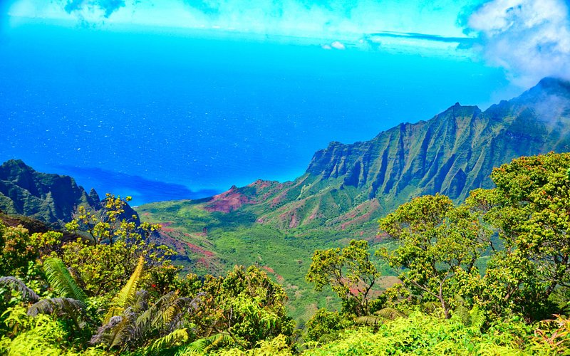THE 15 BEST Things to Do in Kauai - UPDATED 2021 - Must See Attractions