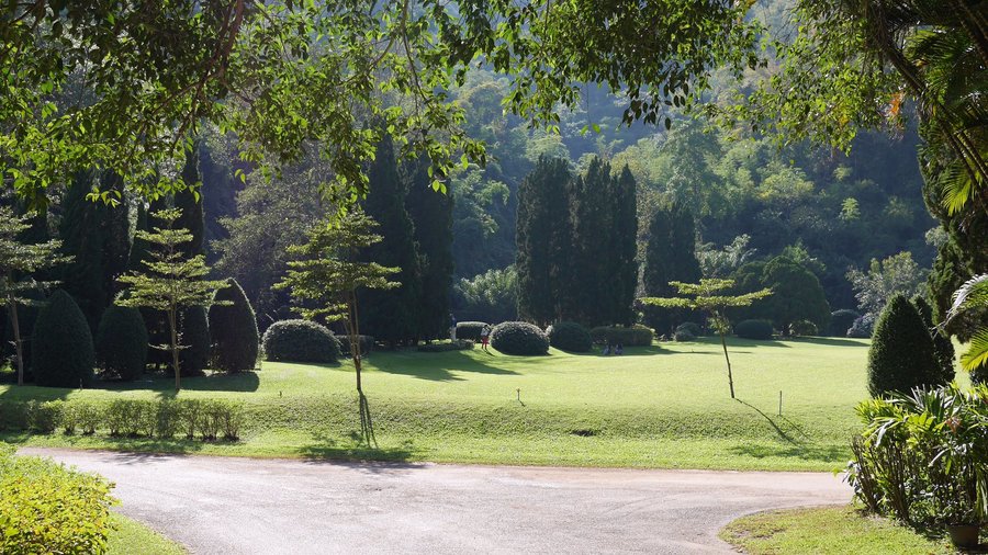 Greenery view