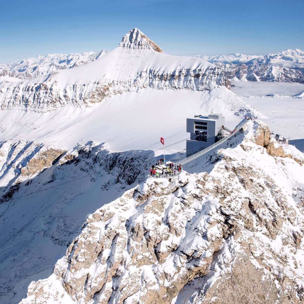 se permiten perros en el desierto del pico glaciar