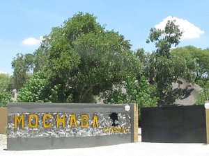 Mochaba Crossing Lodge in Maun