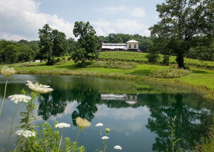 Chandler Hill Winery in Historic Missouri WIne County