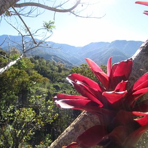 Ojo De Agua, Perez Zeledon, Costa Rica, Pérez Zeledón, San José — Point2