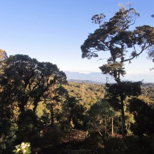 The view from the dining area