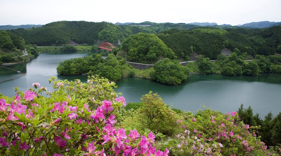 館内から一望できる青蓮寺湖