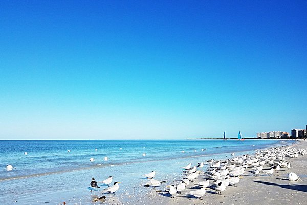 THE 5 BEST Marco Island Beach Resorts 2024 (with Prices) - Tripadvisor