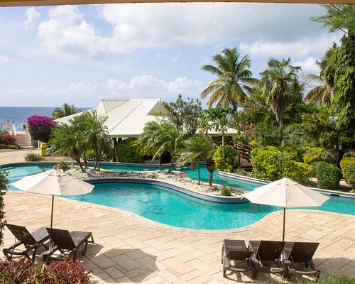 Las 10 Mejores Ofertas En Tobago Ofertas De Hoteles En Tobago