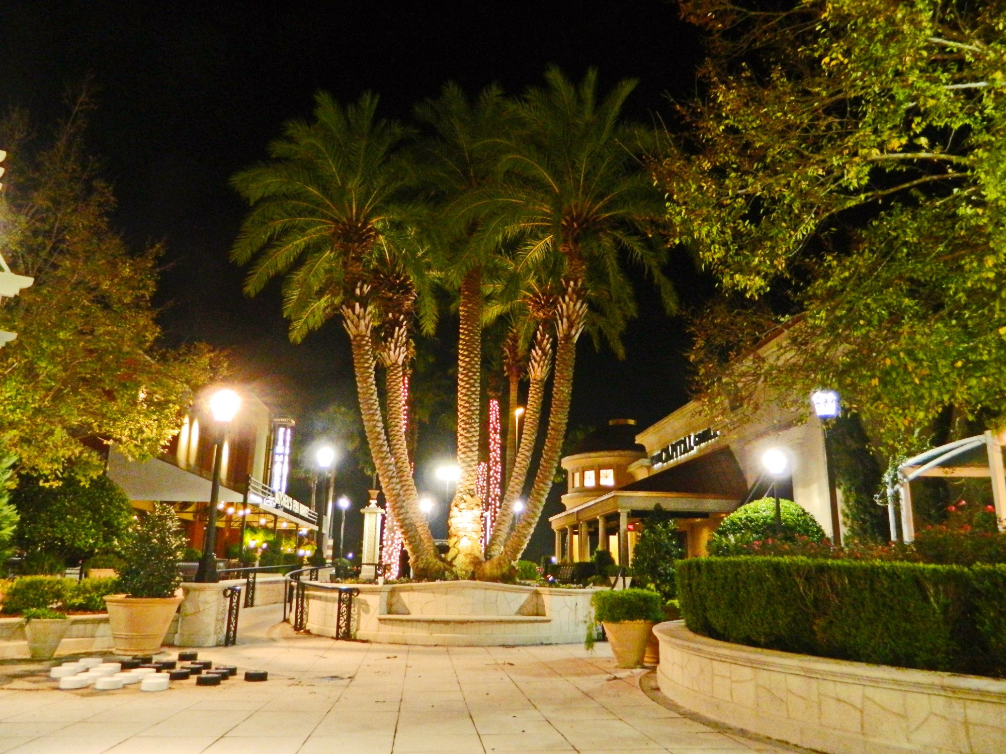 Hollister st johns store town center