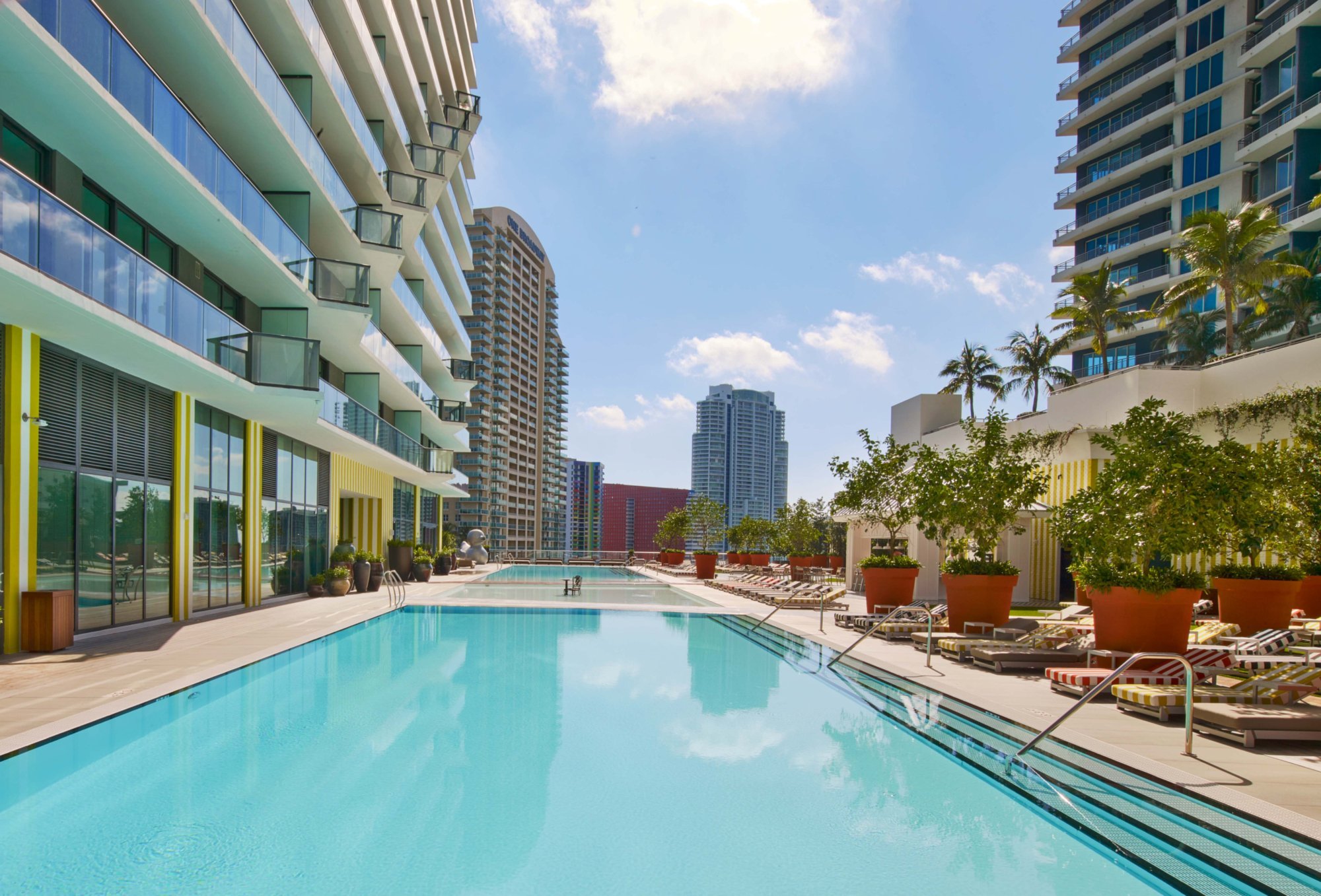 Dua Miami, Autograph Collection by null