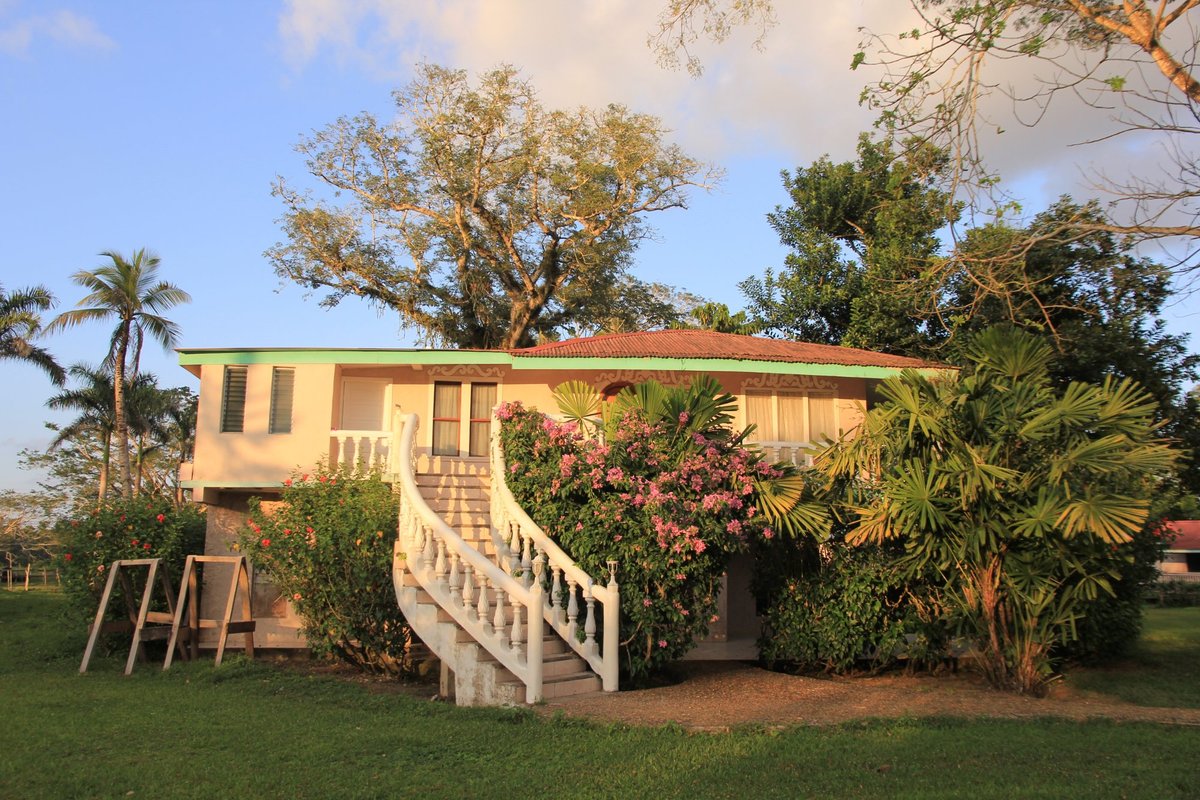 Banana Bank Lodge & Belize Horseback Adventures Rooms: Pictures ...