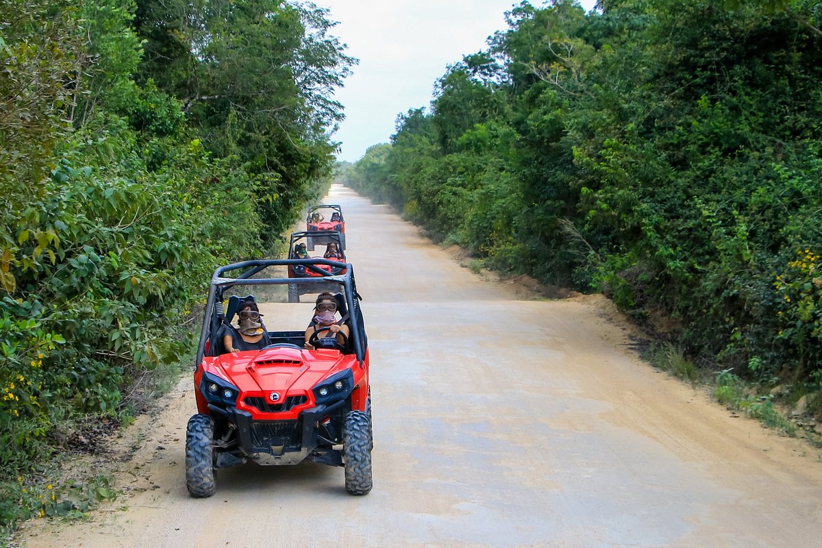 moordenaar anker insect Jungle Buggy Tour (Playa del Carmen) - All You Need to Know BEFORE You Go