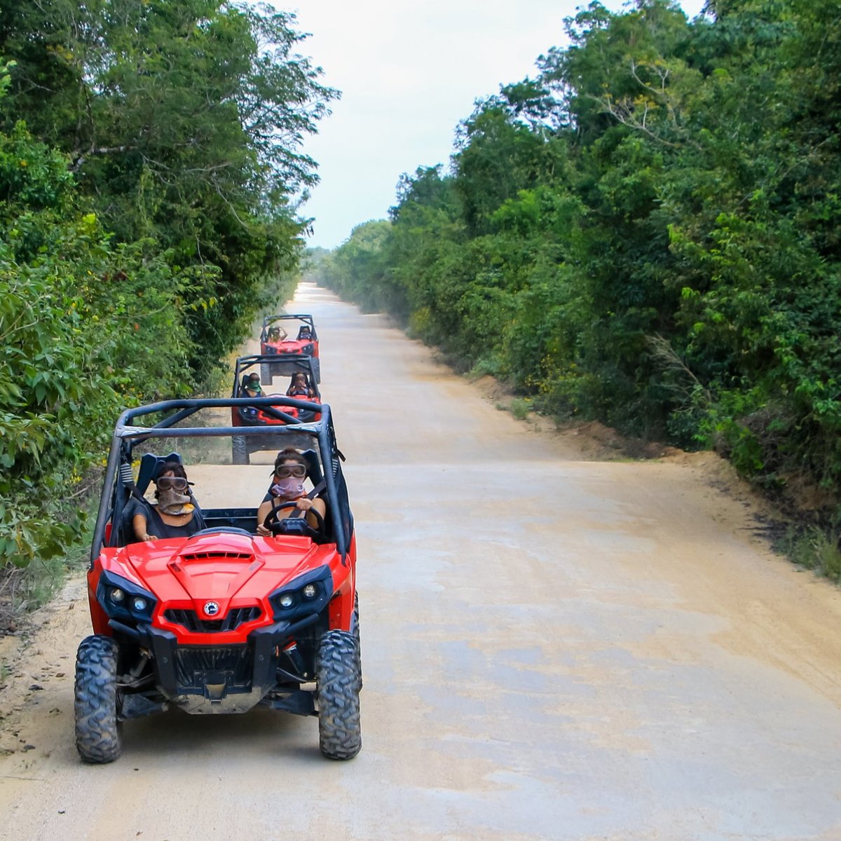 jungle tour playa del carmen