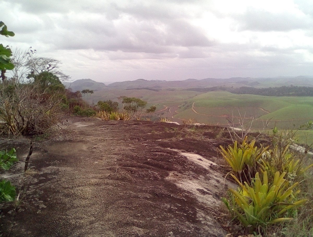 D'Pimentas  São José do Rio Prêto SP