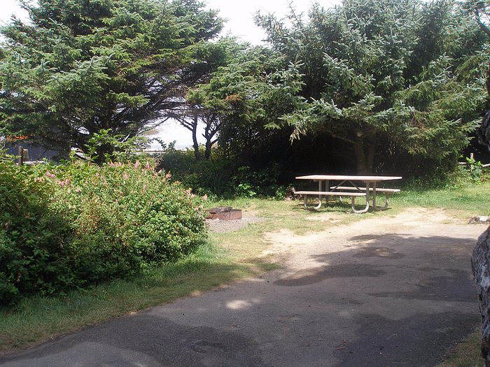 BEACHSIDE STATE PARK - Campground Reviews (Waldport, OR)