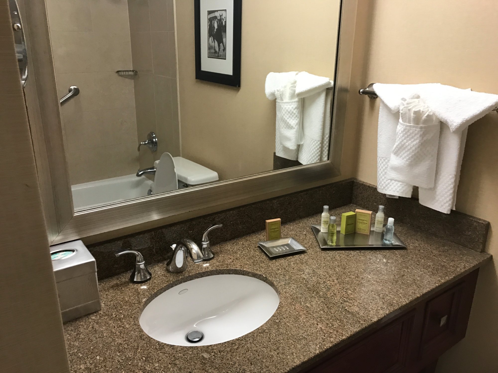 Hotel photo 6 of DoubleTree by Hilton Hotel Baltimore North - Pikesville.
